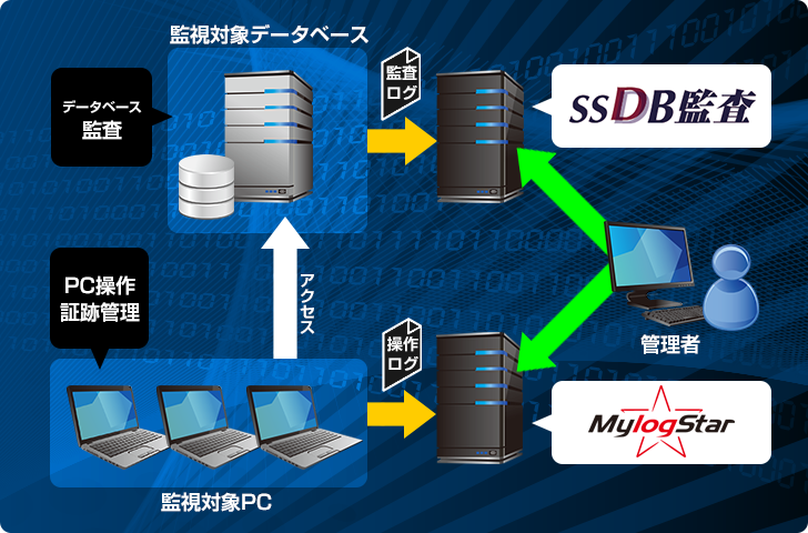 ssdb1